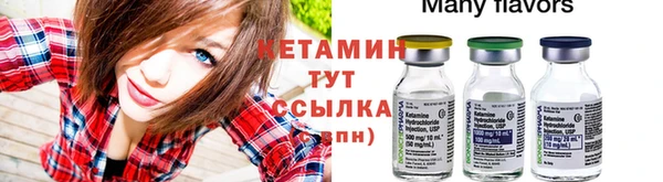 стаф Арсеньев