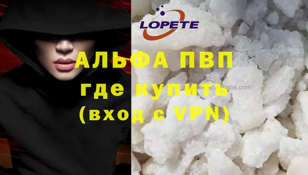 стаф Аркадак