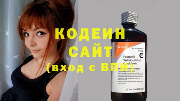 стаф Аркадак