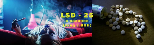 стаф Аркадак