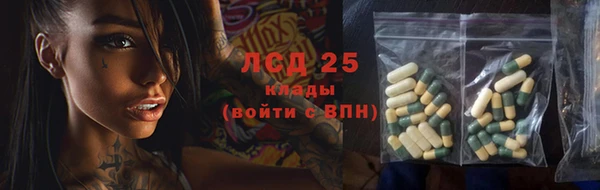 стаф Арсеньев