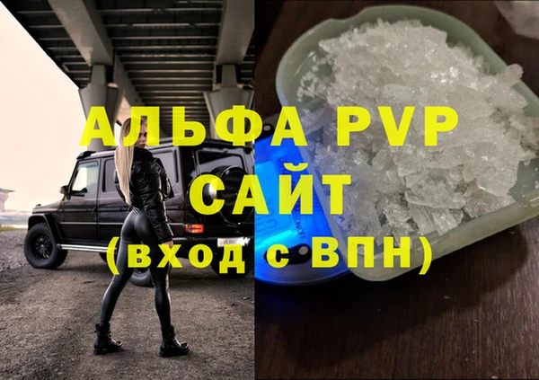 стаф Аркадак